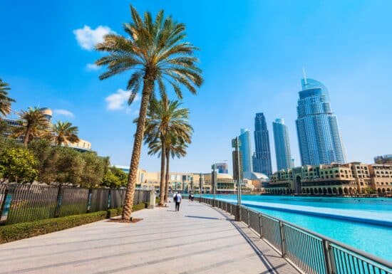 Bodyguard services in Dubai. A walkway lined with palm trees and modern skyscrapers in Dubai.