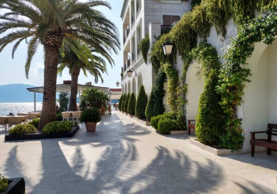 Bodyguard services in Montenegro. A picturesque walkway lined with palm trees and greenery, adjacent to a waterfront dining area.