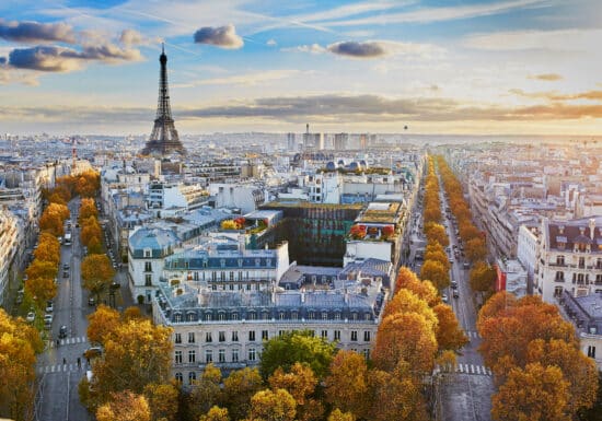 Bodyguard Services in Paris. Aerial view of Paris with the Eiffel Tower in the distance, and tree-lined streets.