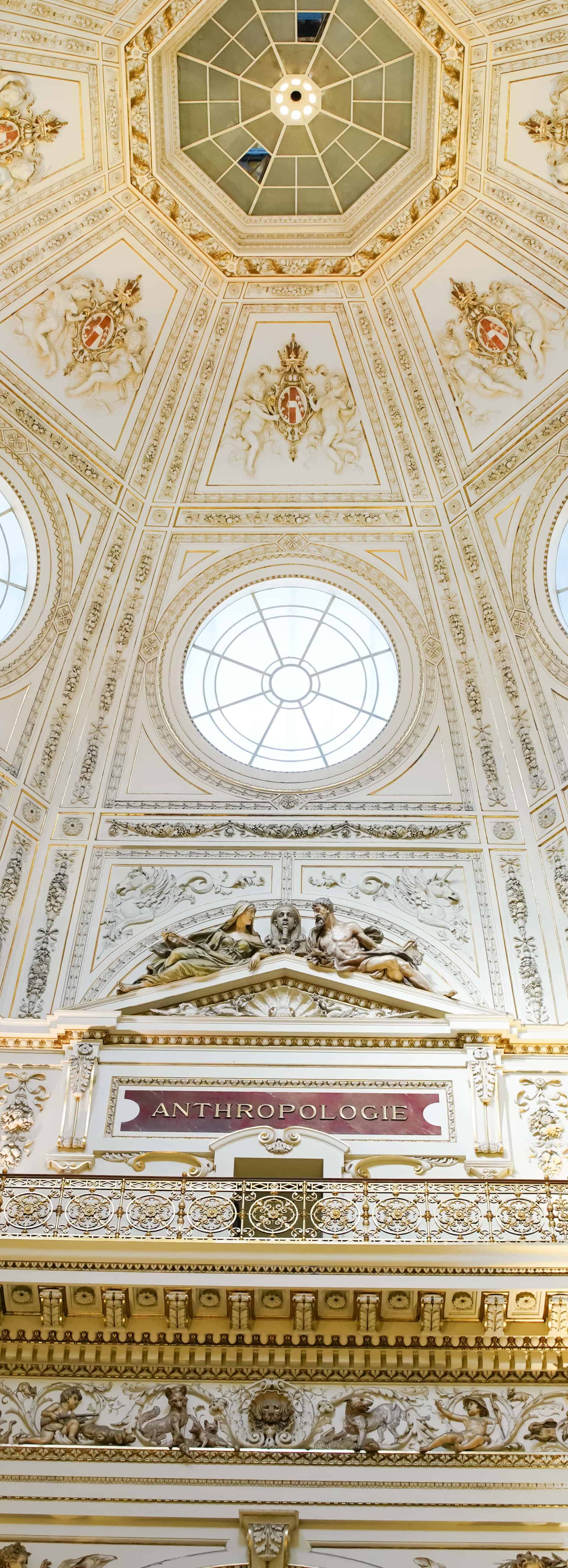 Chauffeur service in Vienna | Infinite Risks International